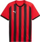 teamLIGA26 Striped Jersey