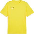 Teamgoal Jersey