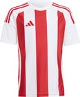 Striped 24 Jersey Kids