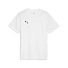 Teamgoal Jersey Jr