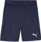 Teamgoal Training Short