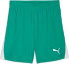 teamLIGA26 Shorts
