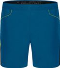 Spitze Shorts