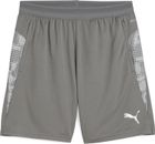 Teamcup Training Shorts
