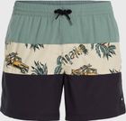 MIX & Match Cali Block 15'' Swim Shorts