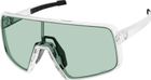 Sunglasses Torica