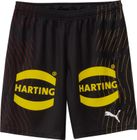 DHB Shorts With Sponsor