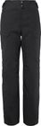 Cosmic Warm GTX Pant W