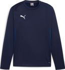 Teamgoal Training Pant Jr
