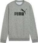 Essentials No 1 Logo Crew TR B