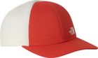 Summer Light Trucker