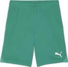 Teamgoal Shorts