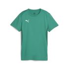 Teamgoal Jersey Wmn