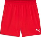 Teamcup Shorts