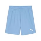 Teamgoal Shorts