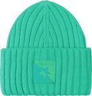 Prtwizzard Beanie