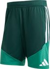 Algeria 26 Training Shorts