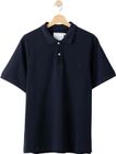 Viggo Polo