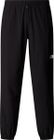 Mens Mountain Athletics Wind Pant
