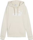 Essentials No. 1 Logo Hoodie TR (s)