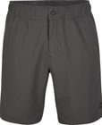 Utility 17'' Hybrid Shorts