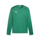 Teamgoal Training Sweat