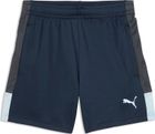 Individualliga Training Shorts Jr