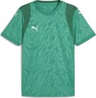 Teamcup Jersey