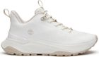 Womens Low Lace UP Sneaker
