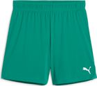 Teamgoal Shorts Wmns