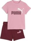 Minicats Essentials Tee and Shorts Set INF