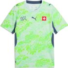 SFV Away Jersey Replica