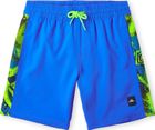 Cali Panel 14'' Swim Shorts