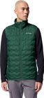 Delta Ridge II Down Vest