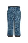 Fwc'cruz Snow Pants