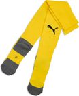 teamLIGA26 Socks Core