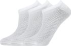 Comfort-mesh Low Cut Sock 3-Pack