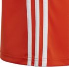 Tabela 23 Jersey Youth Junior Boys and Girls