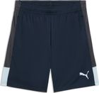 Individualliga Training Shorts