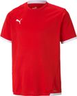 Teamliga Jersey Jr