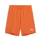 Teamgoal Shorts Jr