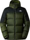 Mens Diablo Down 2.0 Hoodie
