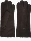 Beech Forest Gloves