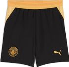 Srfc Home Jersey Replica