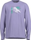 MedergenM.