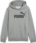 Essentials No 1 Logo Hoodie FL B