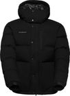 Roseg 2.0 IN Hooded Jacket Men