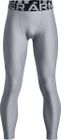HG Armour Leggings