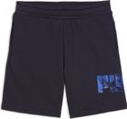 Essentials Logo LAB Story 2 Shorts TR B