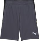 Individualliga Training Shorts 2 (open Pockets)
